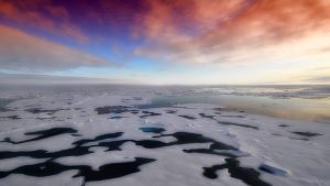 Fluffy clouds in a sunset sky, above a white, ice-covered ocean surface
