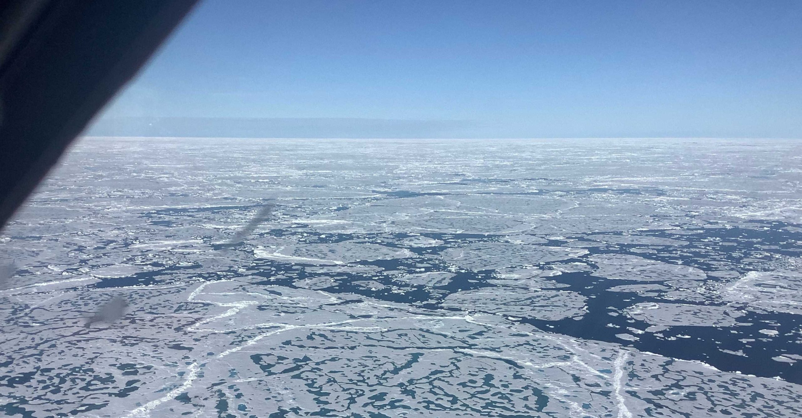 CANARI-supported research reveals Arctic winter sea ice decline has resumed