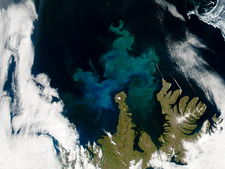 Limiting warming to 1.5-2°C could protect a vital North Atlantic ecosystem